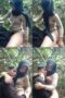 ABG Hijab Binal di Hutan, Kumpulan Video Dewasa , Pusat Film Dewasa, Video Viral , Viral 2024, Film Hot Dewasa, Dewasa21, Birahi21, Nonton Film Dewasa, Video Hot